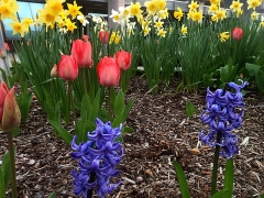 Outside the Cancer Clinic