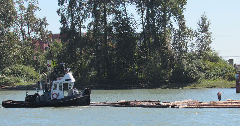 Log jumping