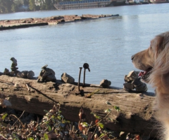 Bailey checks out the inukshuks