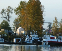 Big tugs and tiny boats