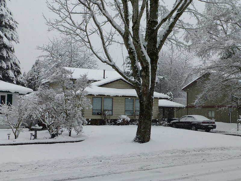 Spring snowstorm