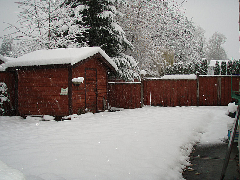 Shed day 1 November 2006