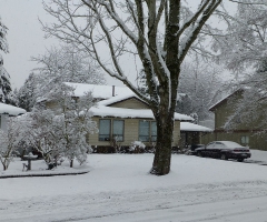 Spring snowstorm