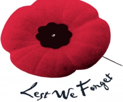 Remembrance Day poppy