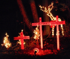 Remembrance Day Display